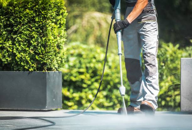 Best Fence Cleaning  in Deming, NM